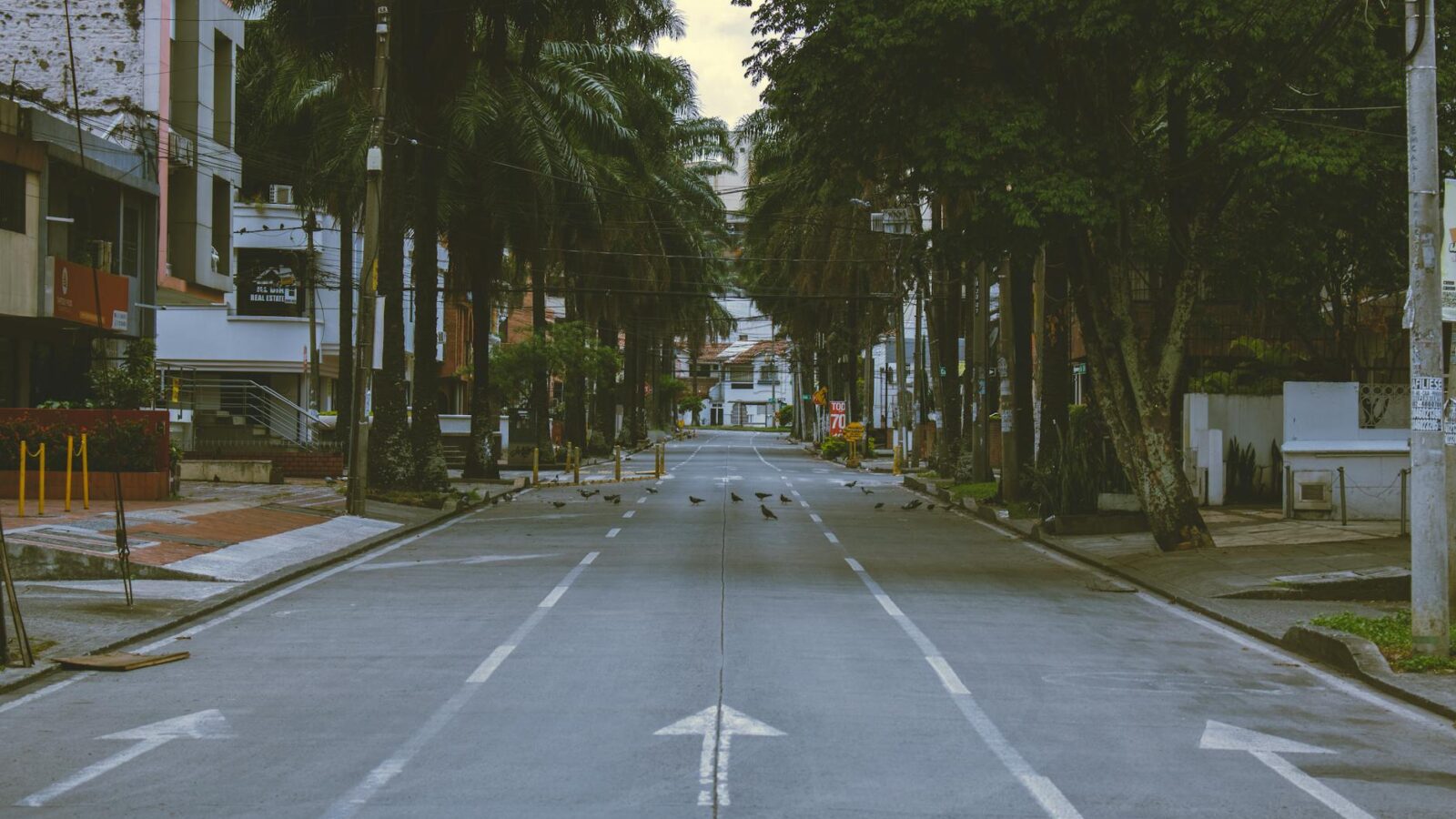 Colombian Gangs Exploit Power Vacuums Years After Peace Pact