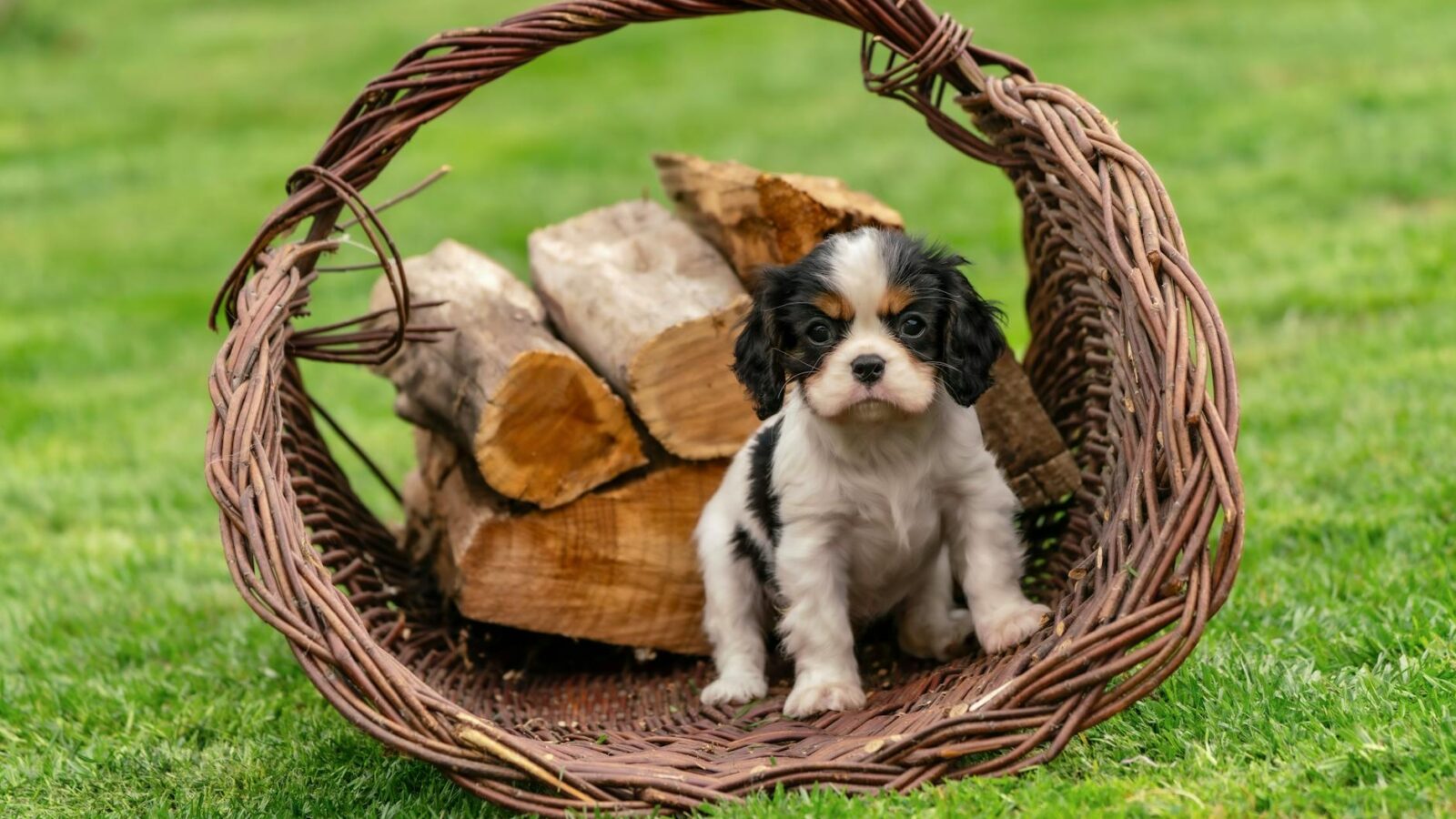 King Charles’s State Visit: A Pivot in UK-US Relations