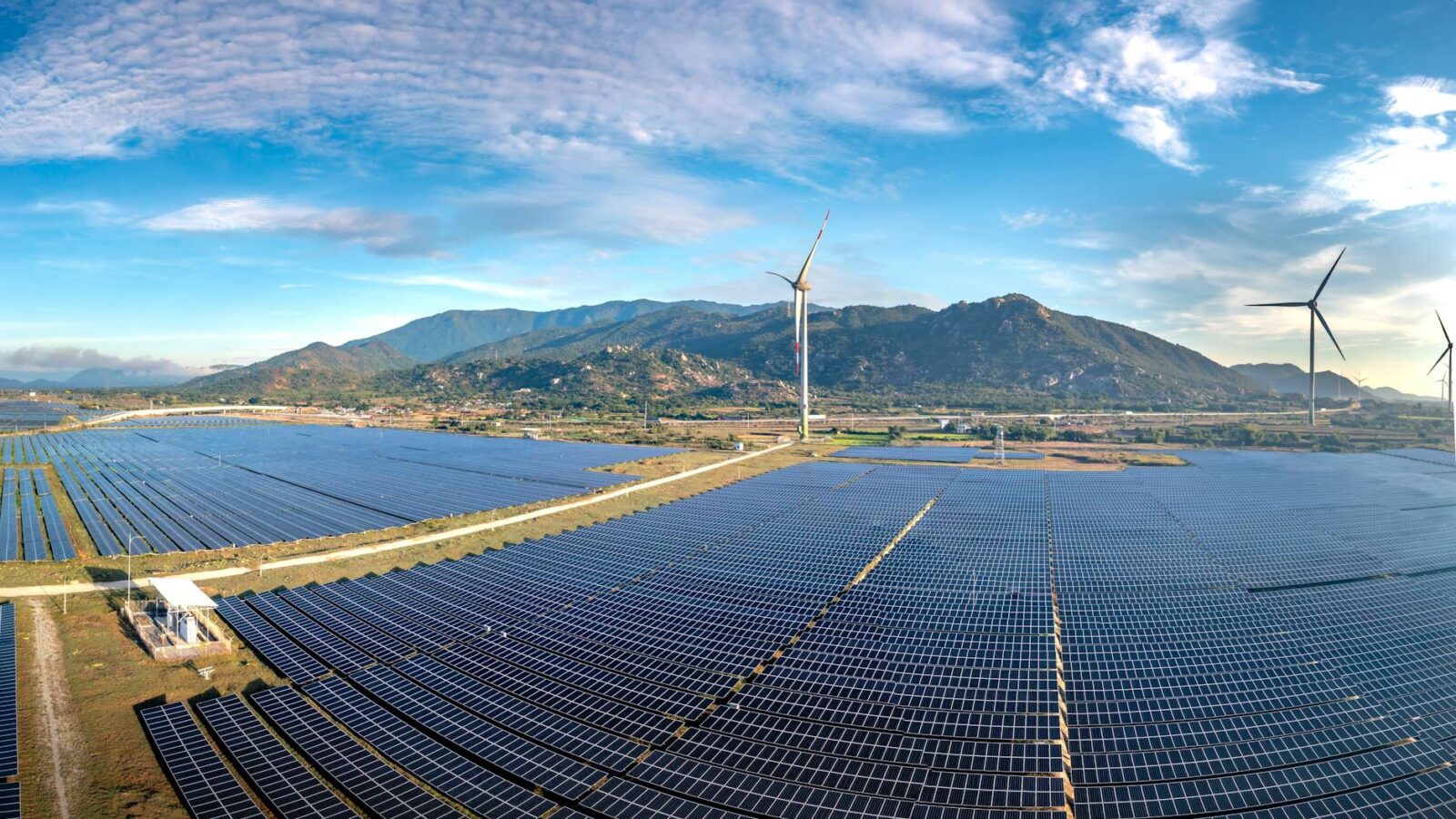 UAE’s Departure from OPEC Signals Shift in Energy Dynamics