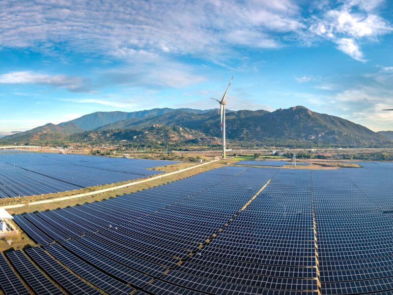 UAE’s Departure from OPEC Signals Shift in Energy Dynamics