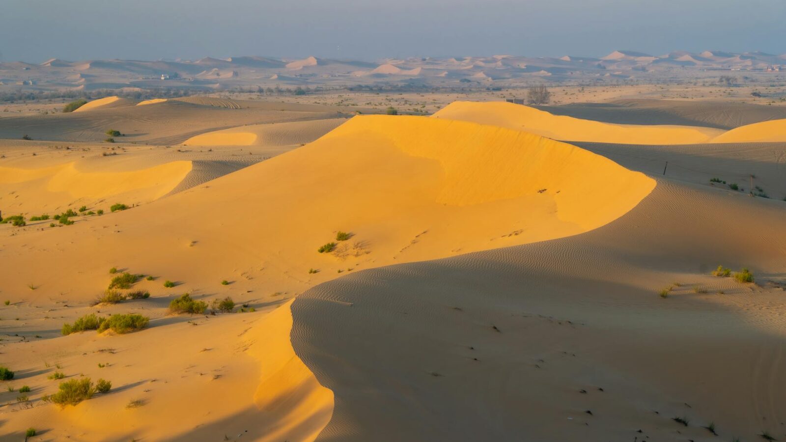 UAE’s OPEC Exit: A Catalyst for Gulf Alliance Realignment