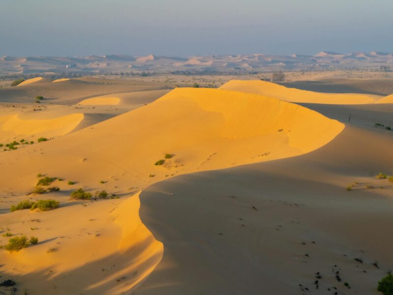 UAE’s OPEC Exit: A Catalyst for Gulf Alliance Realignment