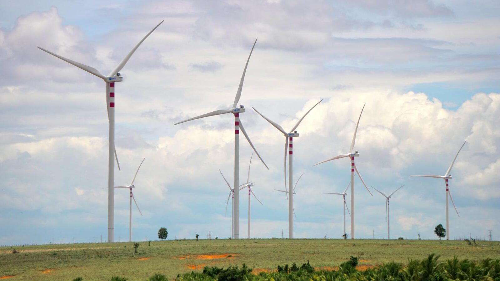 UAE’s OPEC Exit Signals Bold Energy Strategy Shift