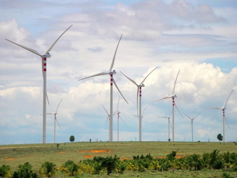 UAE’s OPEC Exit Signals Bold Energy Strategy Shift