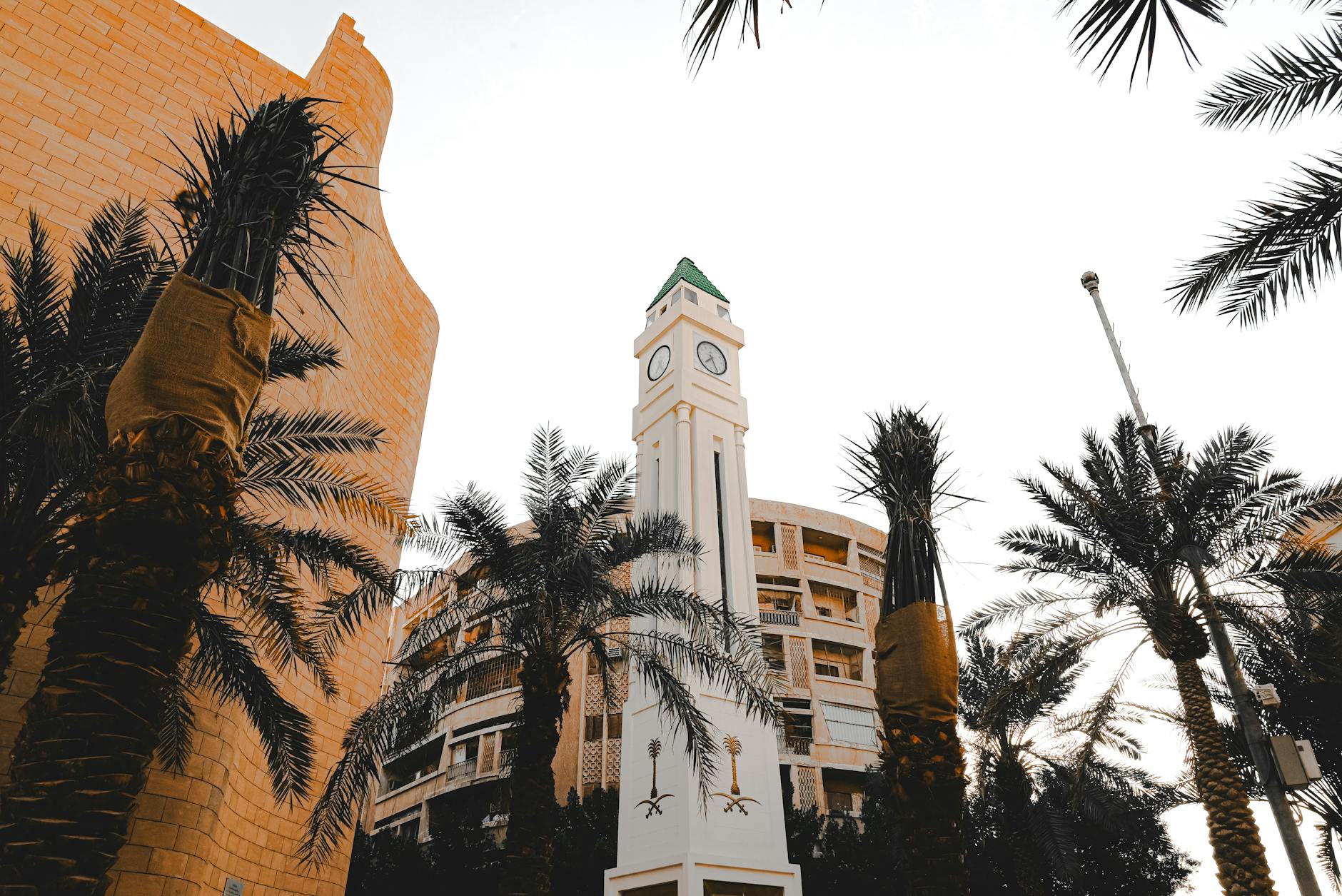 A striking clock tower surrounded by palm trees against a bright sky in an urban environment.